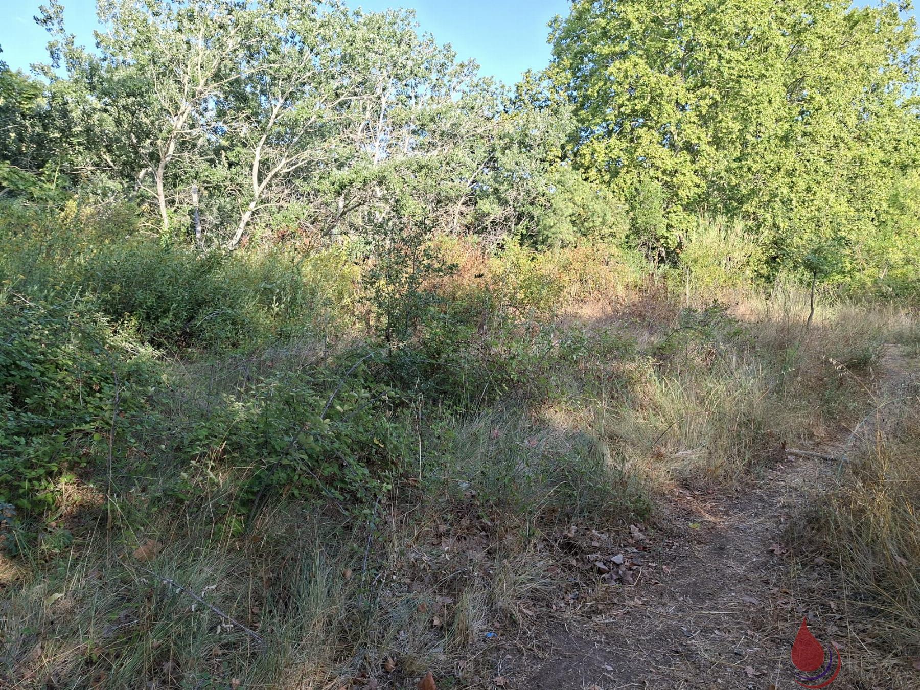 Venta de terreno en Torrelles de Foix