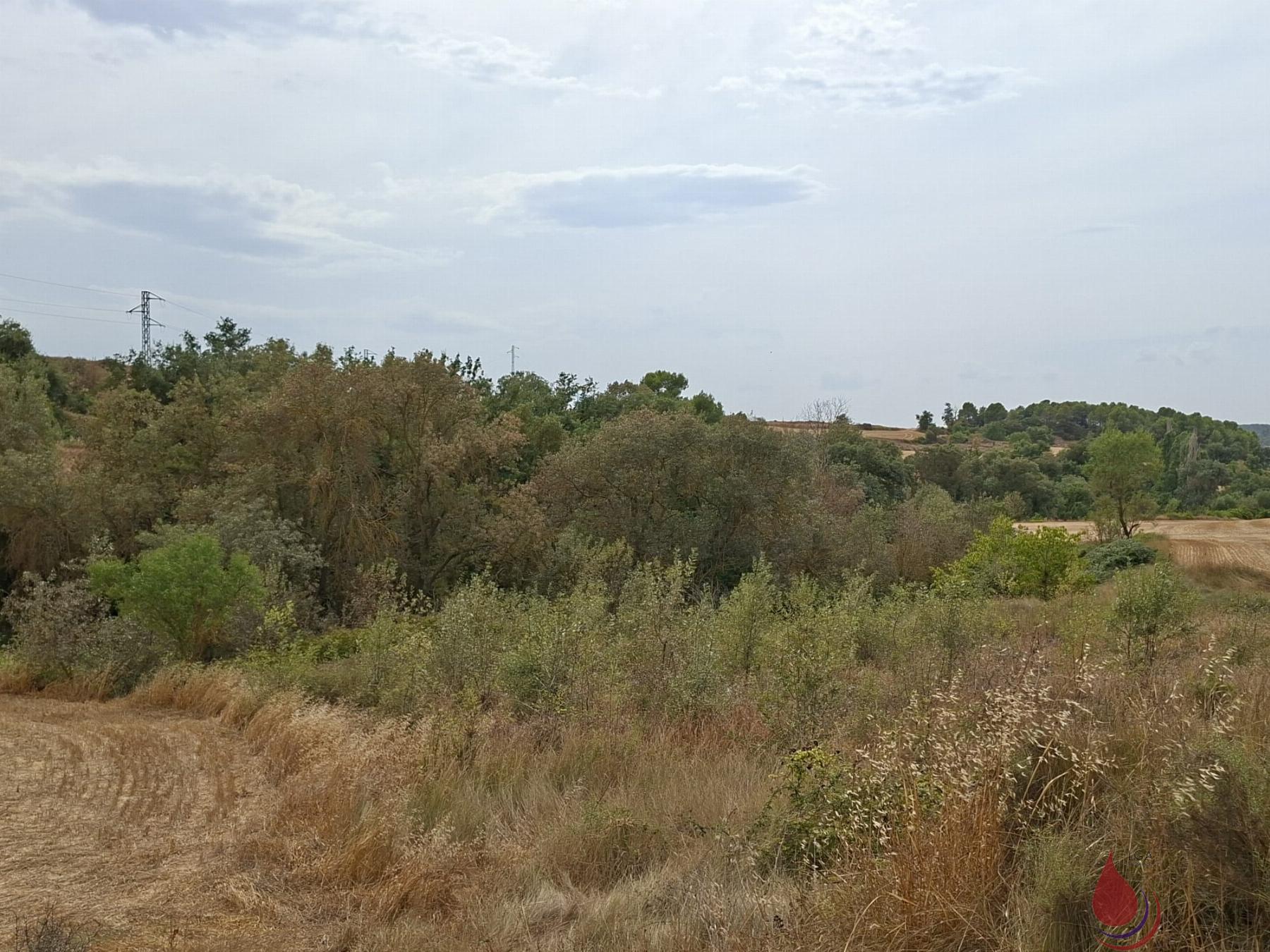 Venta de terreno en Bonastre