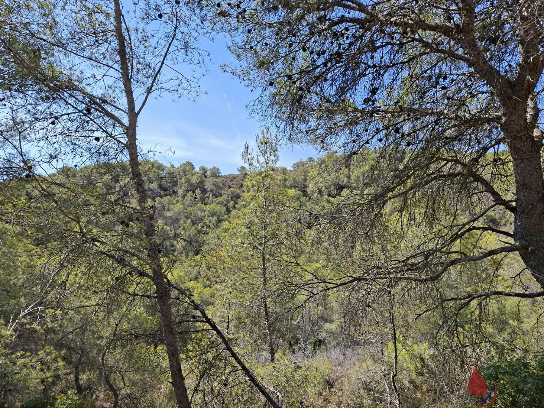 Venta de terreno en Bonastre