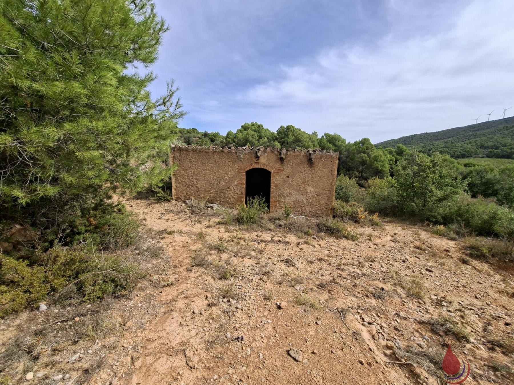 Venta de terreno en Cabra del Camp