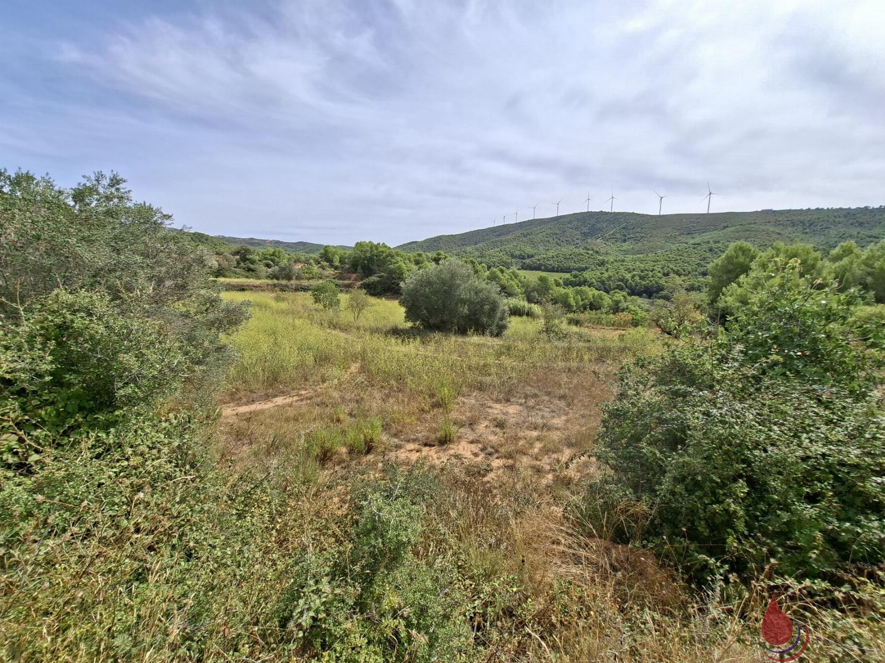 Venta de terreno en Cabra del Camp