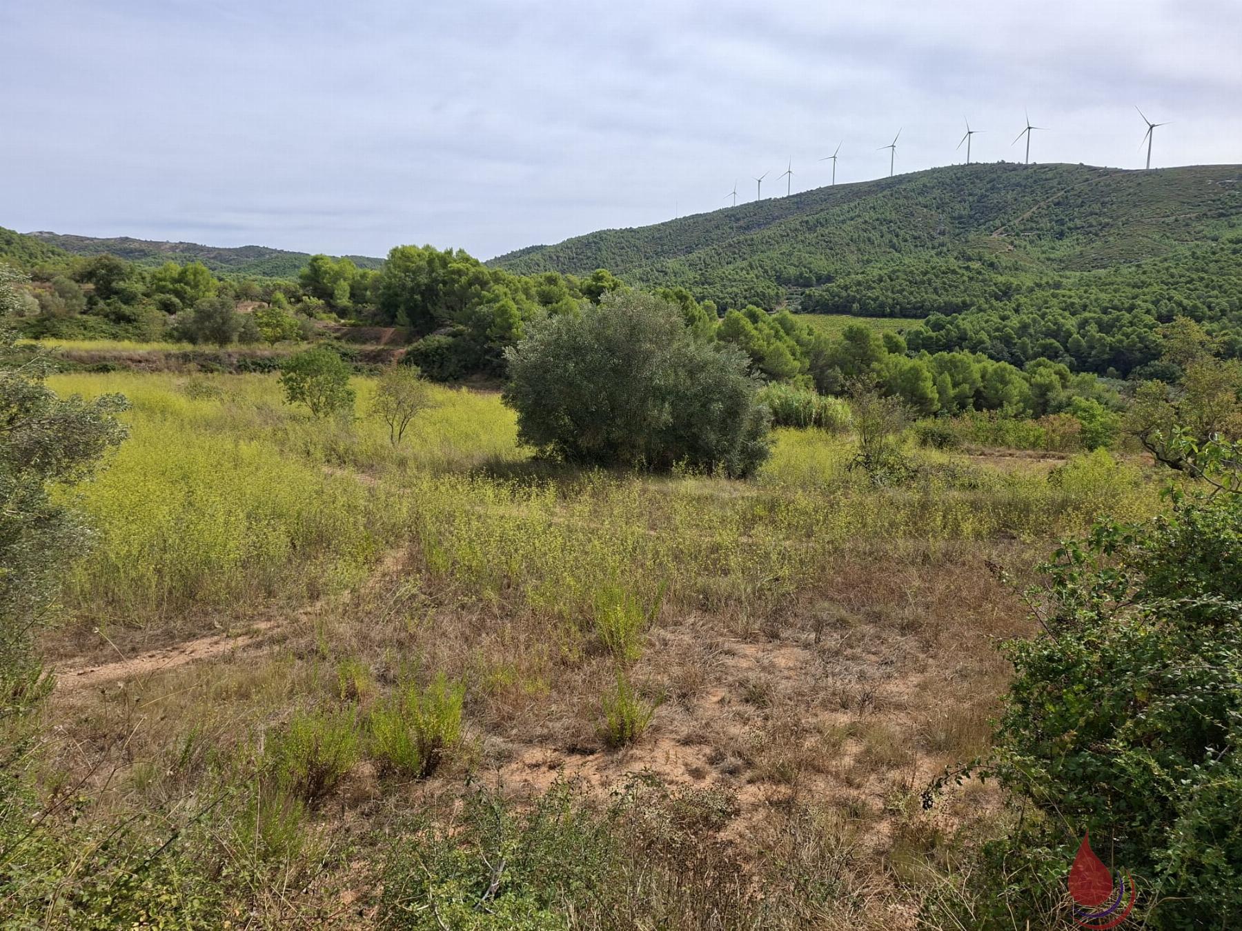 Venta de terreno en Cabra del Camp