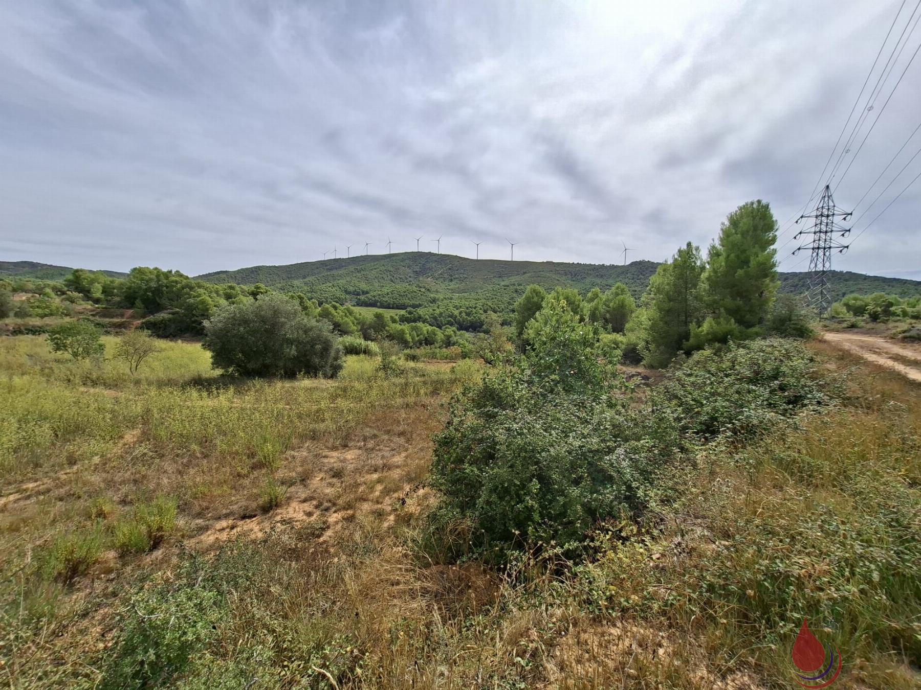 Venta de terreno en Cabra del Camp