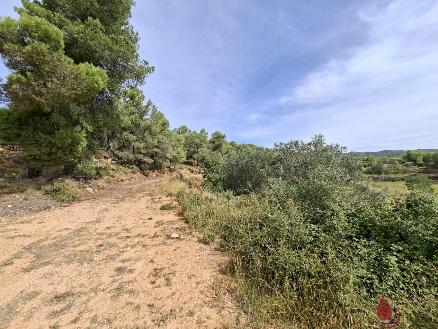 Venta de terreno en Cabra del Camp