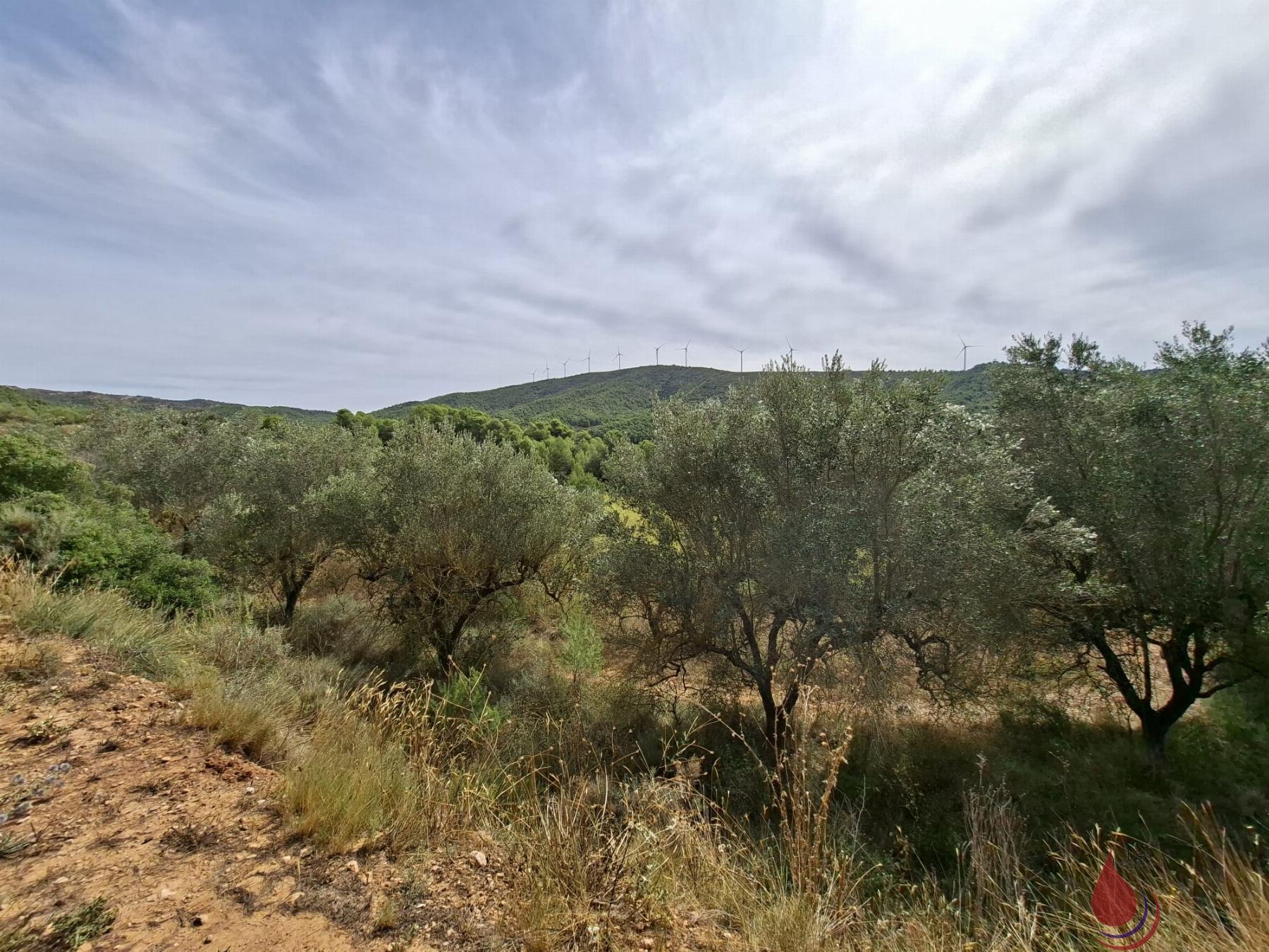 Venta de terreno en Cabra del Camp