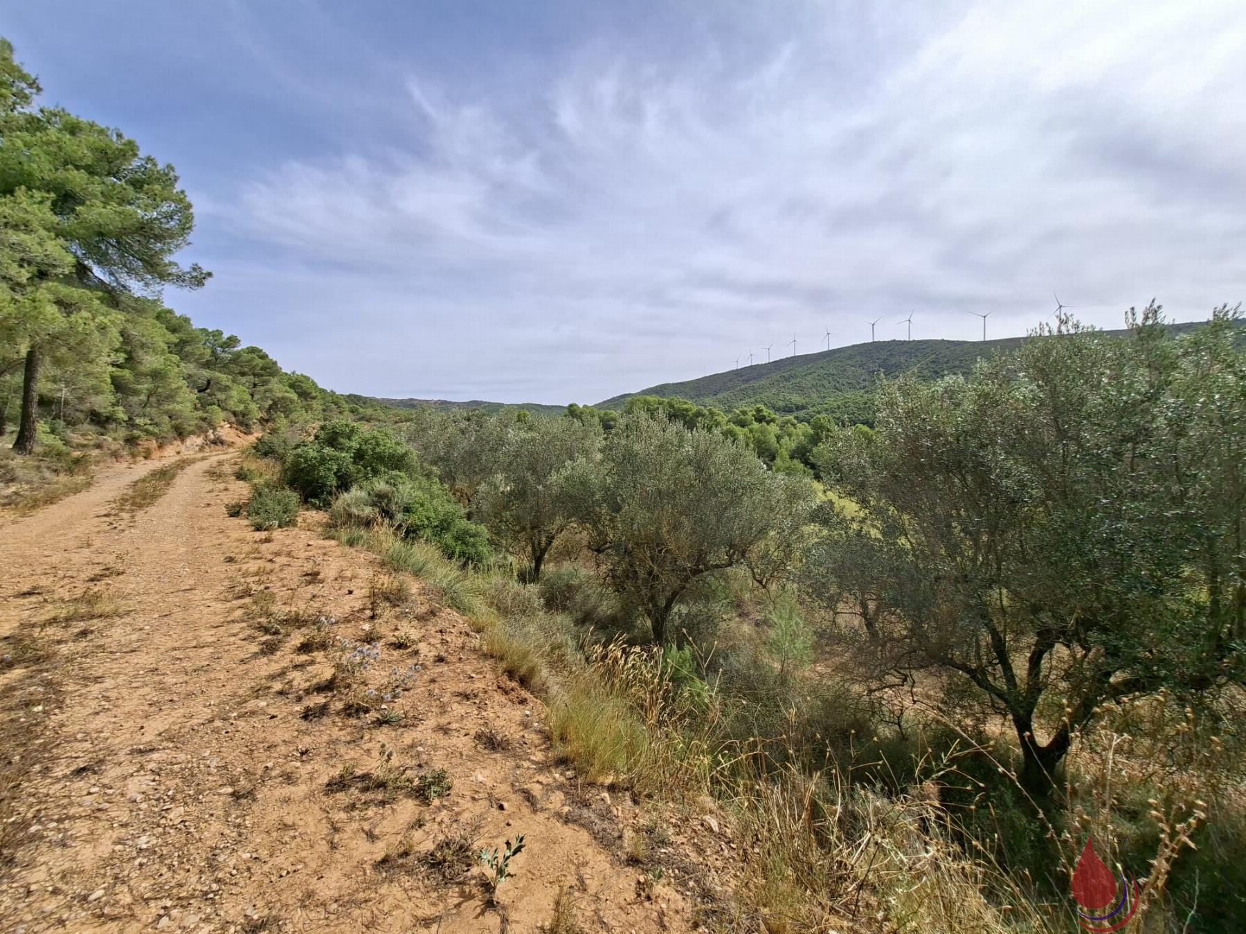 Venta de terreno en Cabra del Camp