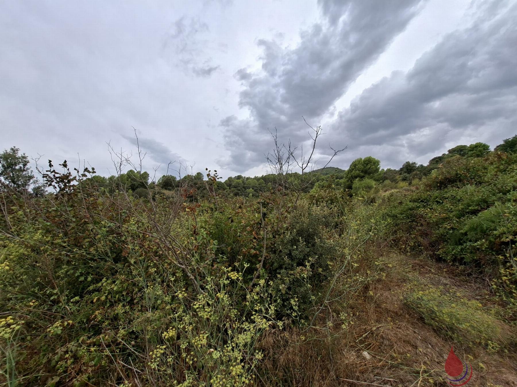Venta de terreno en Cabra del Camp