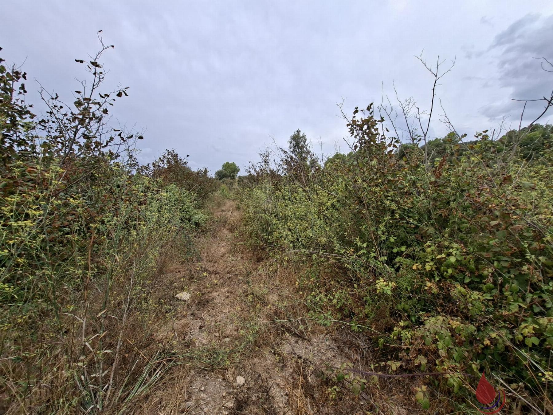 Venta de terreno en Cabra del Camp