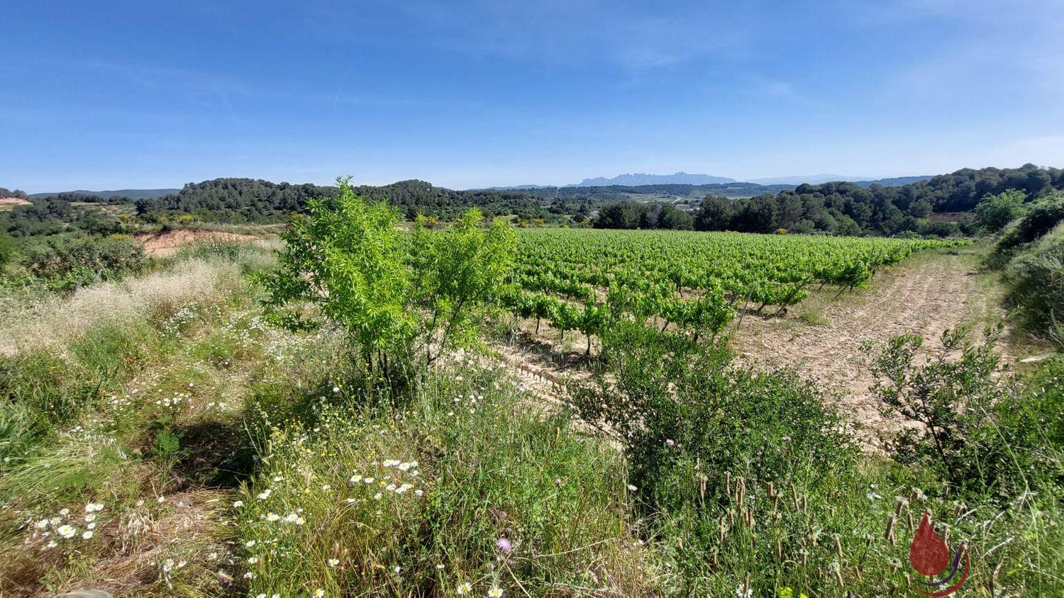 Venta de terreno en Sant Quintí de Mediona Venta de terreno en Sant Quintí de Mediona