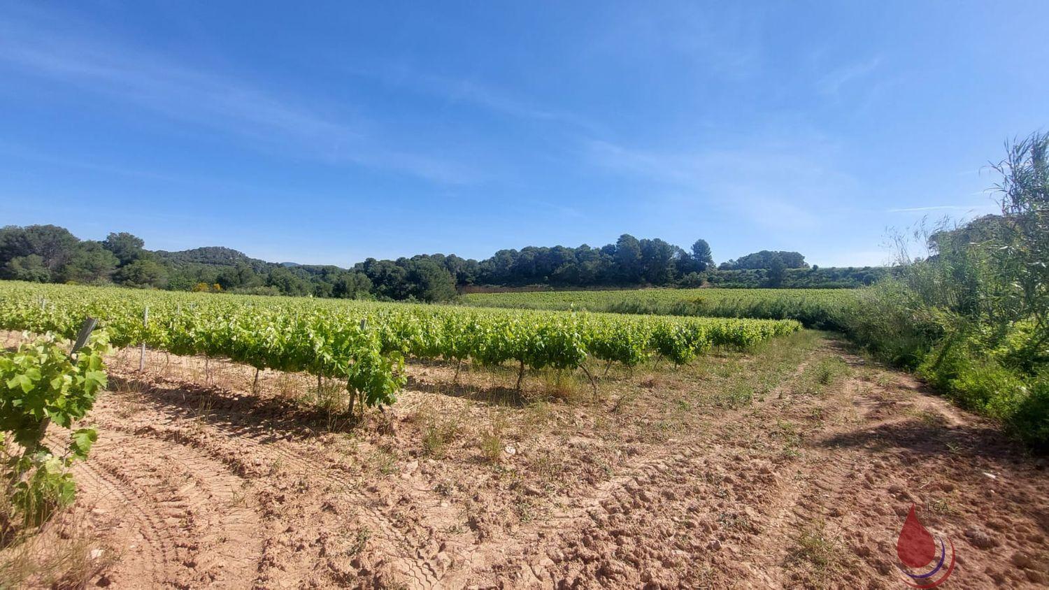 Venta de terreno en Sant Quintí de Mediona