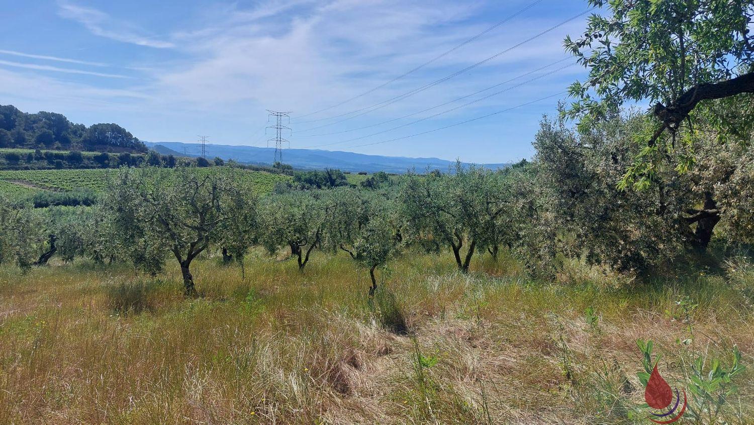 Venta de terreno en Sant Quintí de Mediona