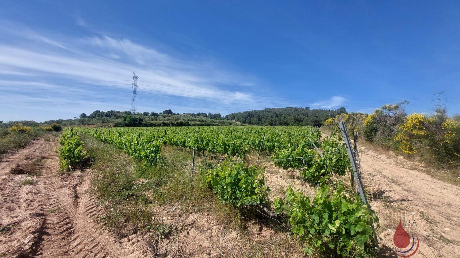 Venta de terreno en Sant Quintí de Mediona