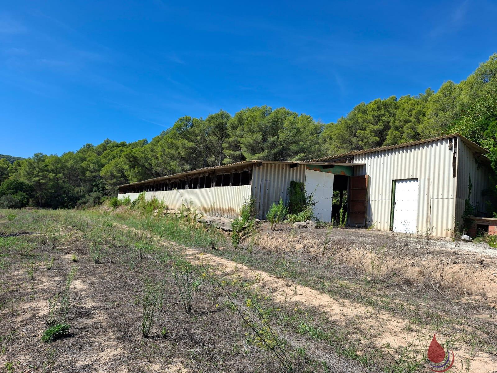 Venta de terreno en Castellet i la Gornal