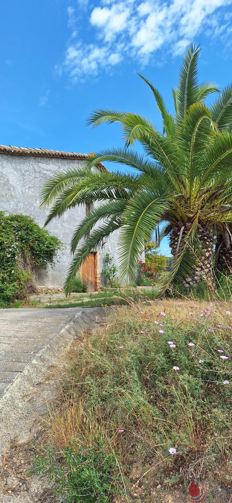 Venta de terreno en Castellet i la Gornal