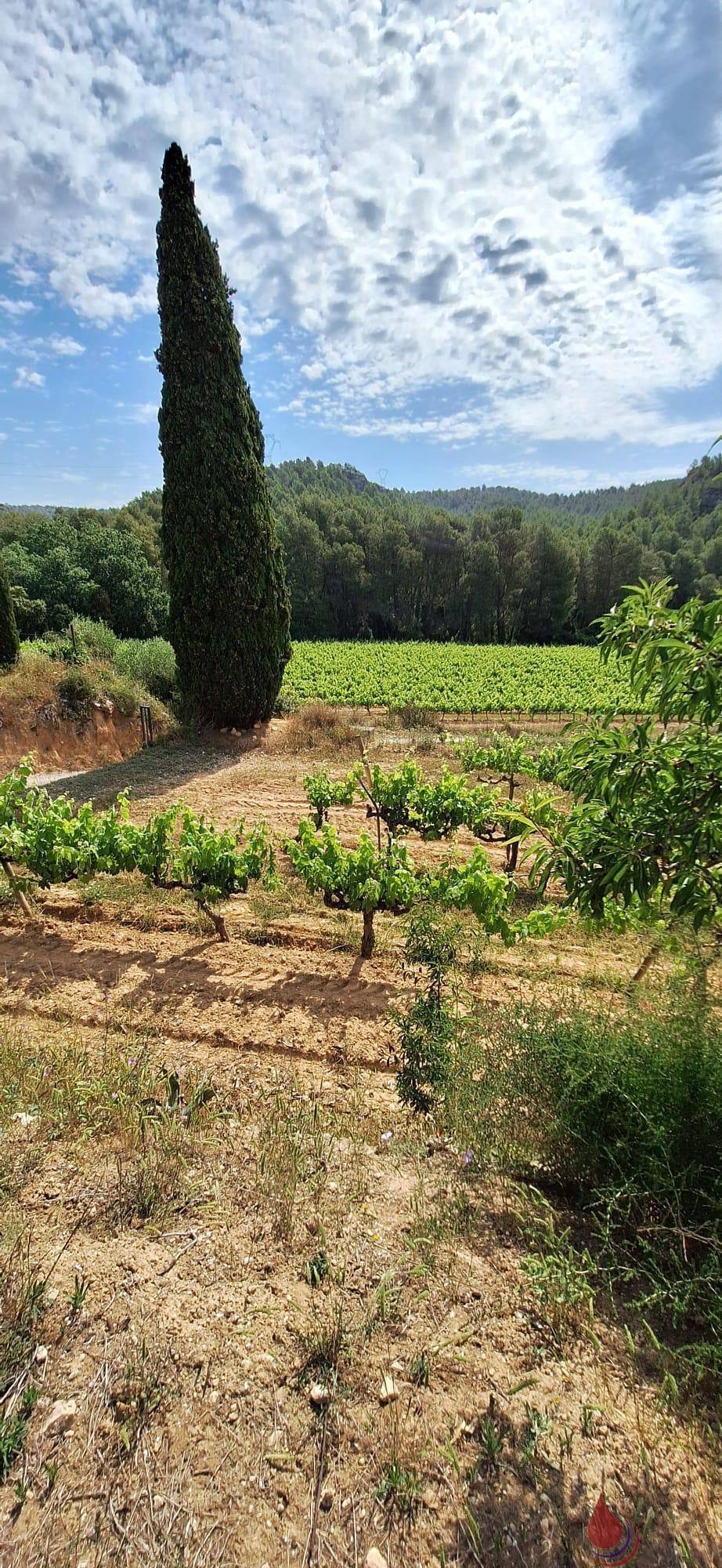 Venta de terreno en Castellet i la Gornal