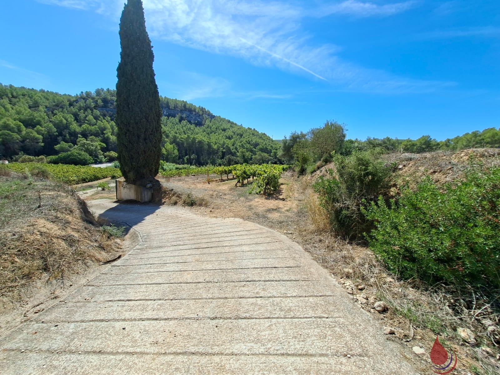 Venta de terreno en Castellet i la Gornal