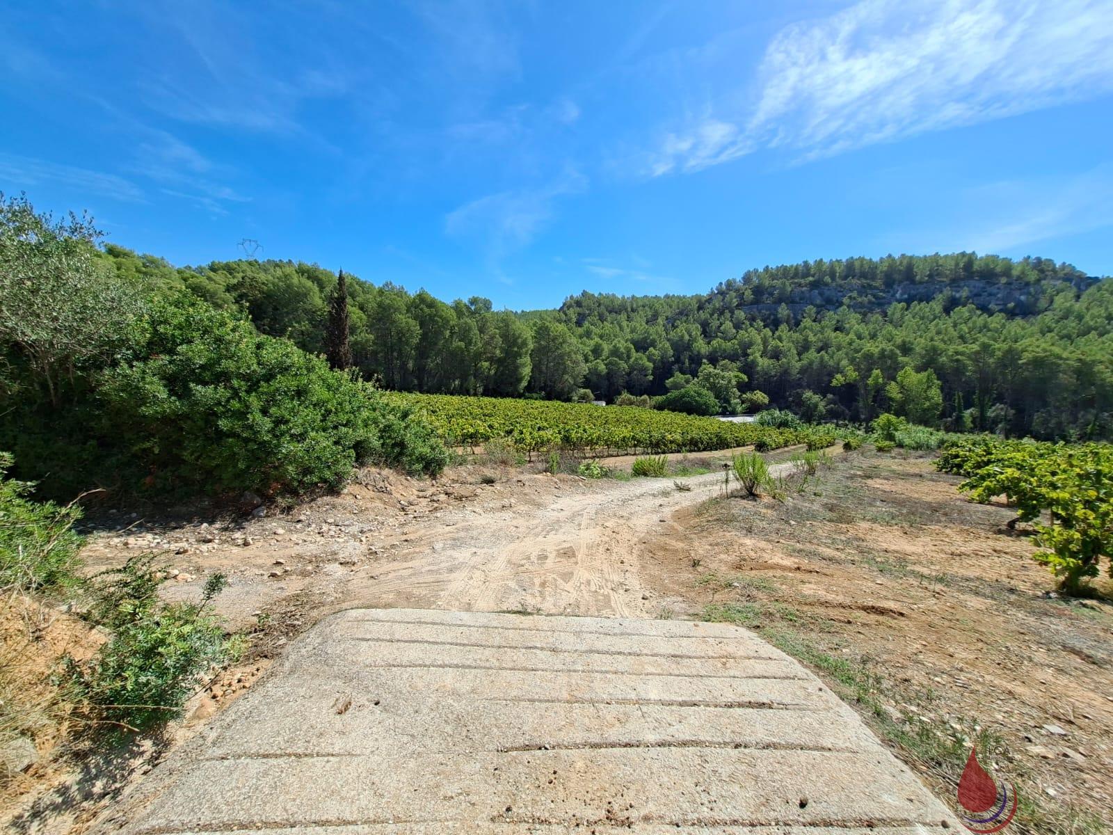 Venta de terreno en Castellet i la Gornal