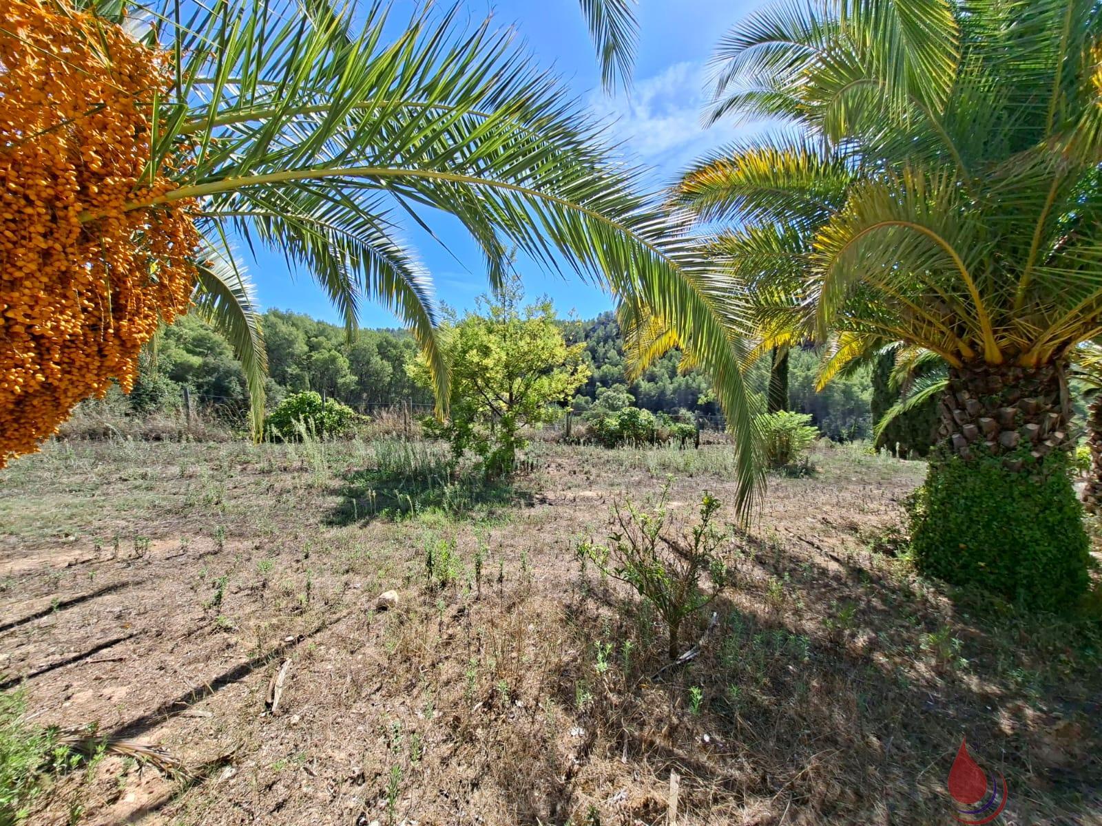 Venta de terreno en Castellet i la Gornal