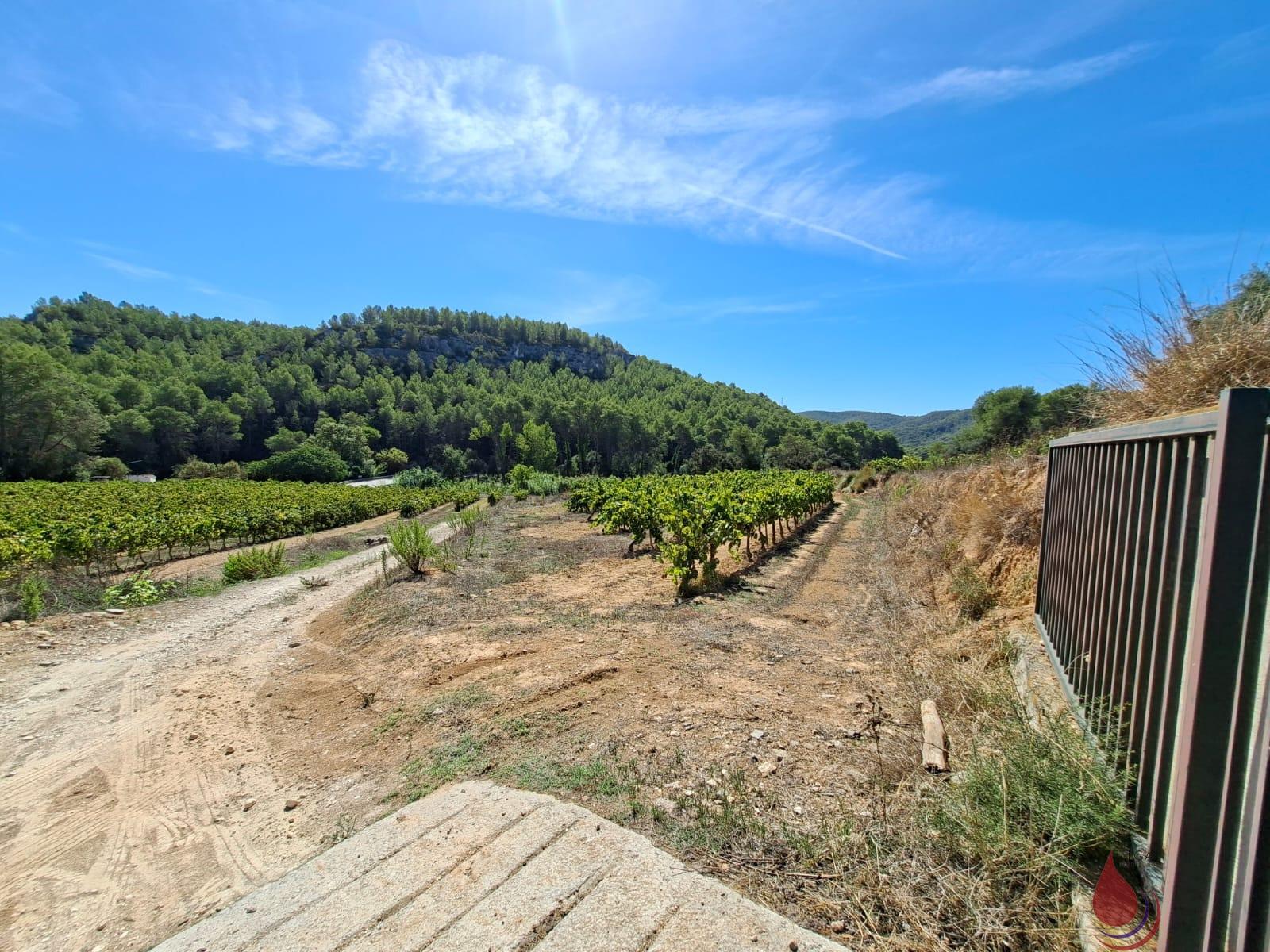 Venta de terreno en Castellet i la Gornal