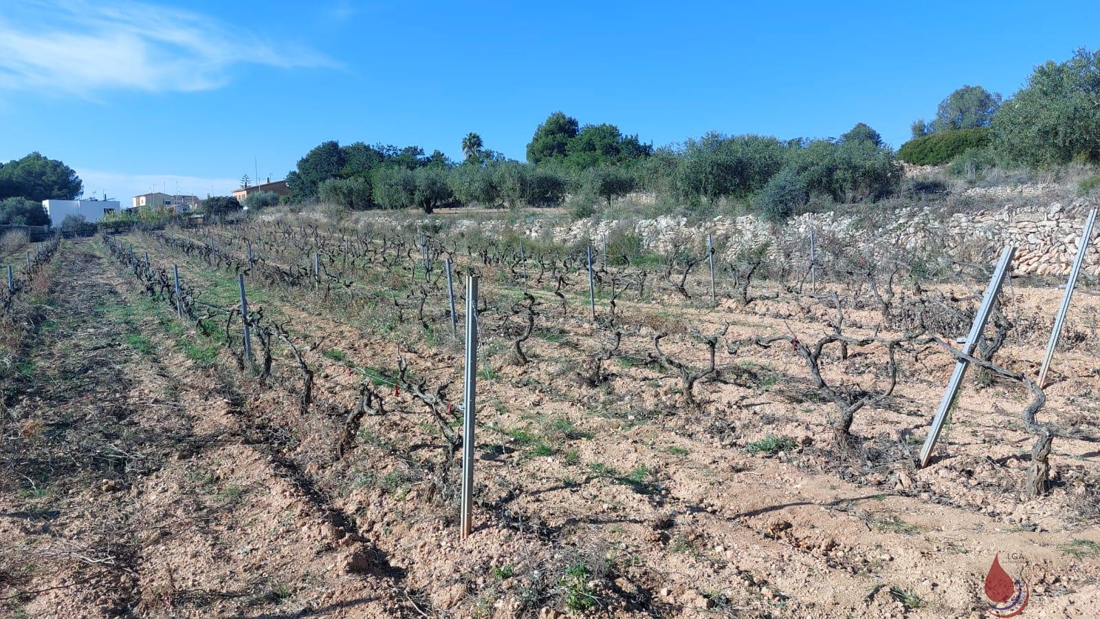 Venta de terreno en Calafell