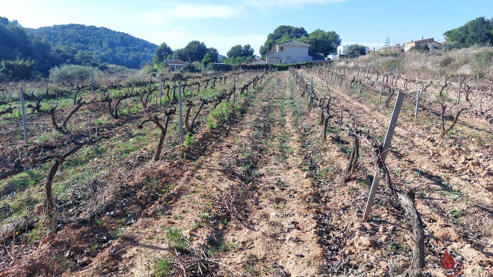 Venta de terreno en Calafell