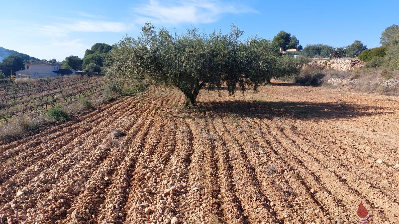 Venta de terreno en Calafell