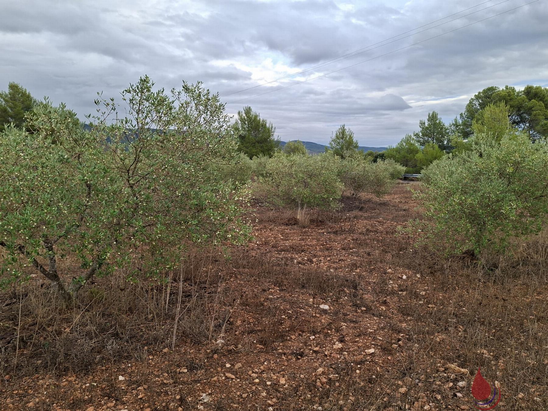 Venta de terreno en El Vendrell