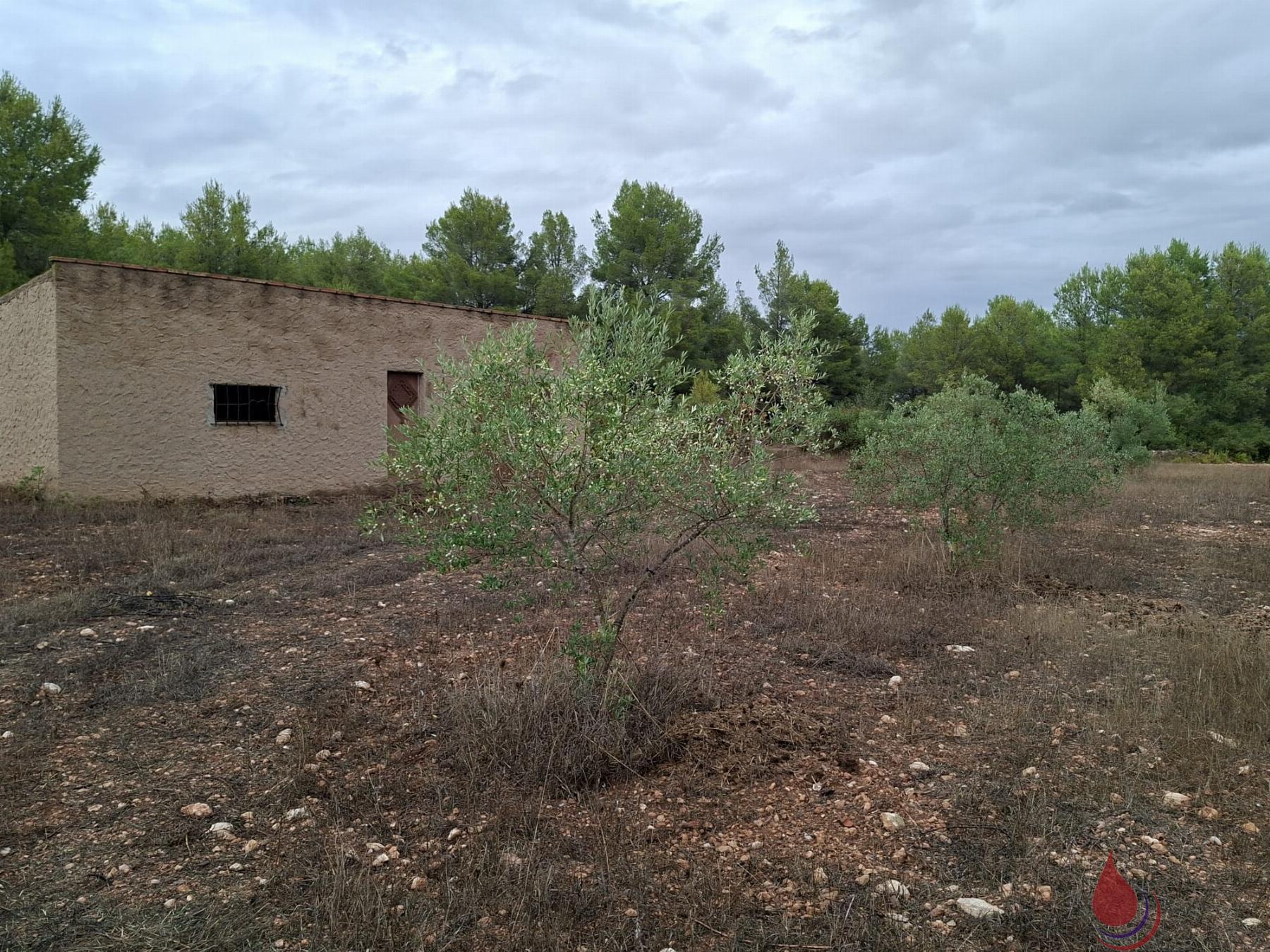 Venta de terreno en El Vendrell
