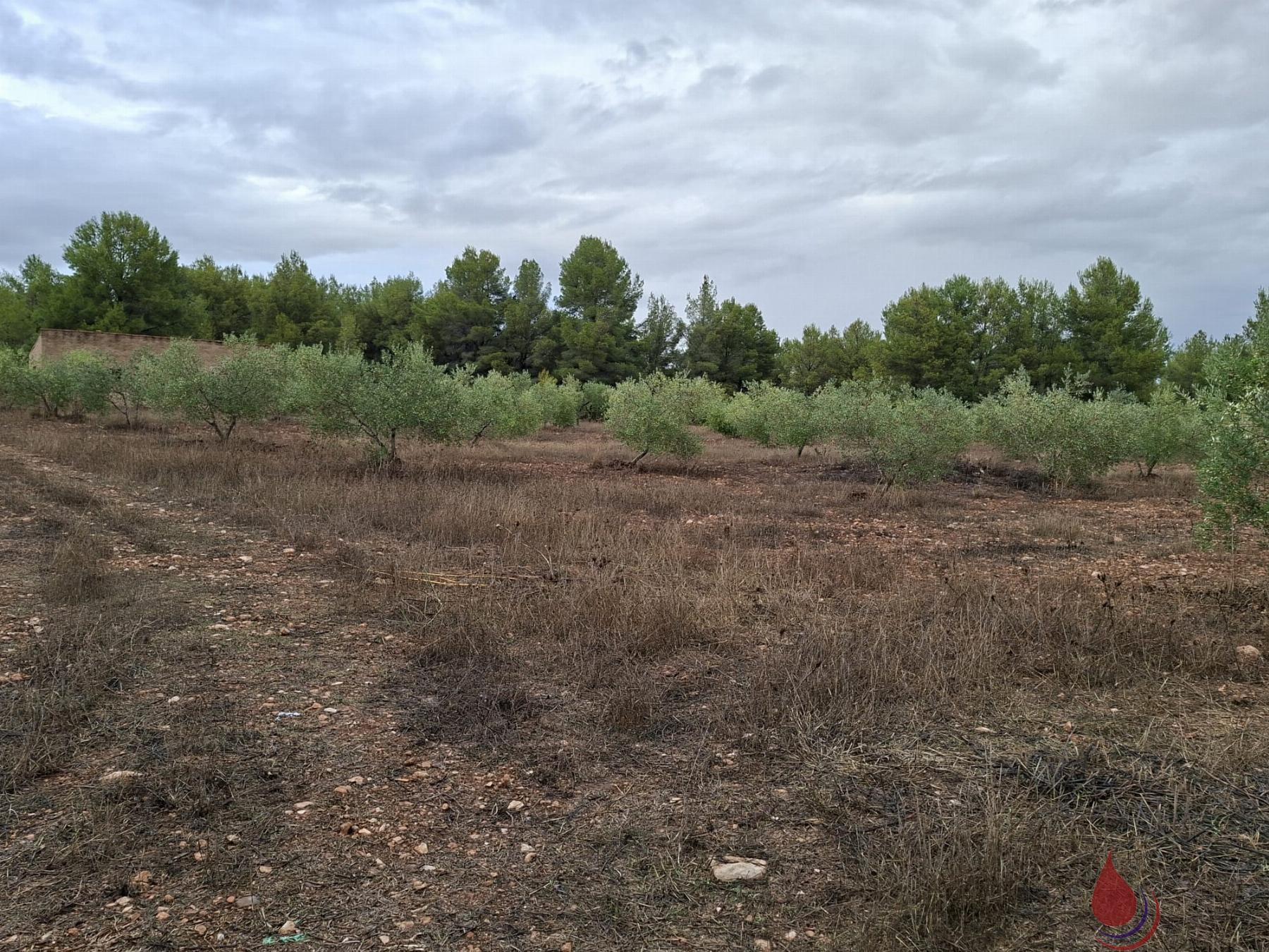 Venta de terreno en El Vendrell