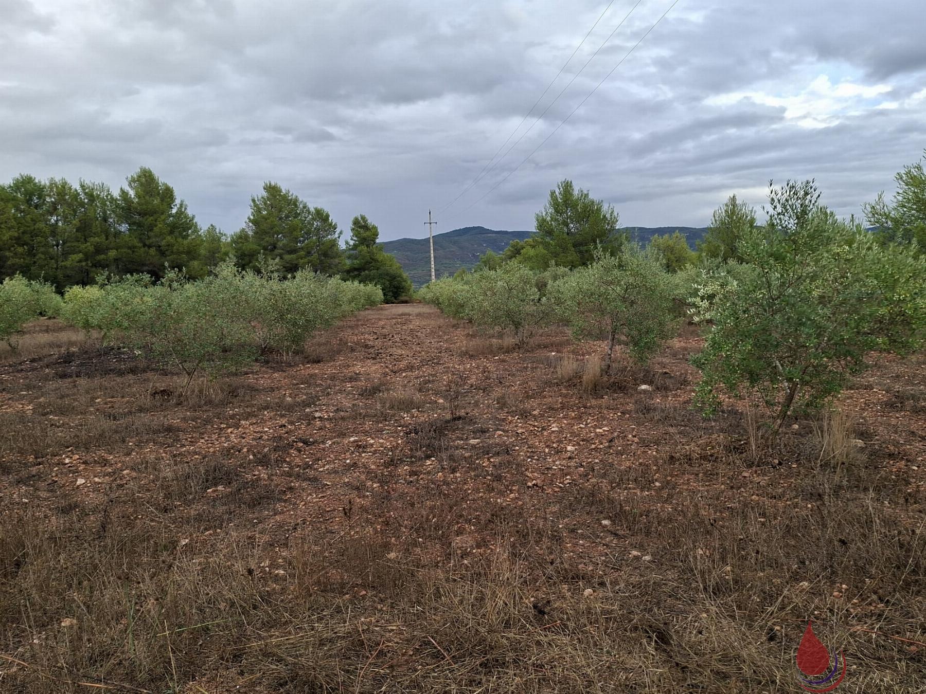 Venta de terreno en El Vendrell