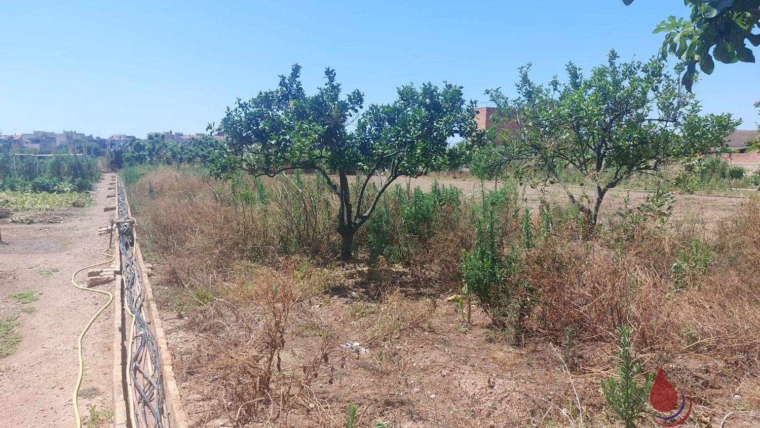 Venta de terreno en Santa Oliva Venta de terreno en Santa Oliva