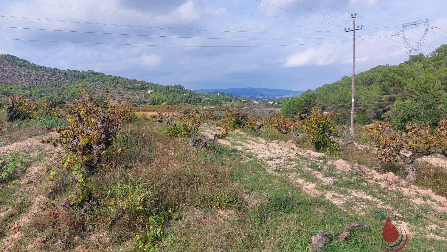 Venta de terreno en Albinyana Venta de terreno en Albinyana