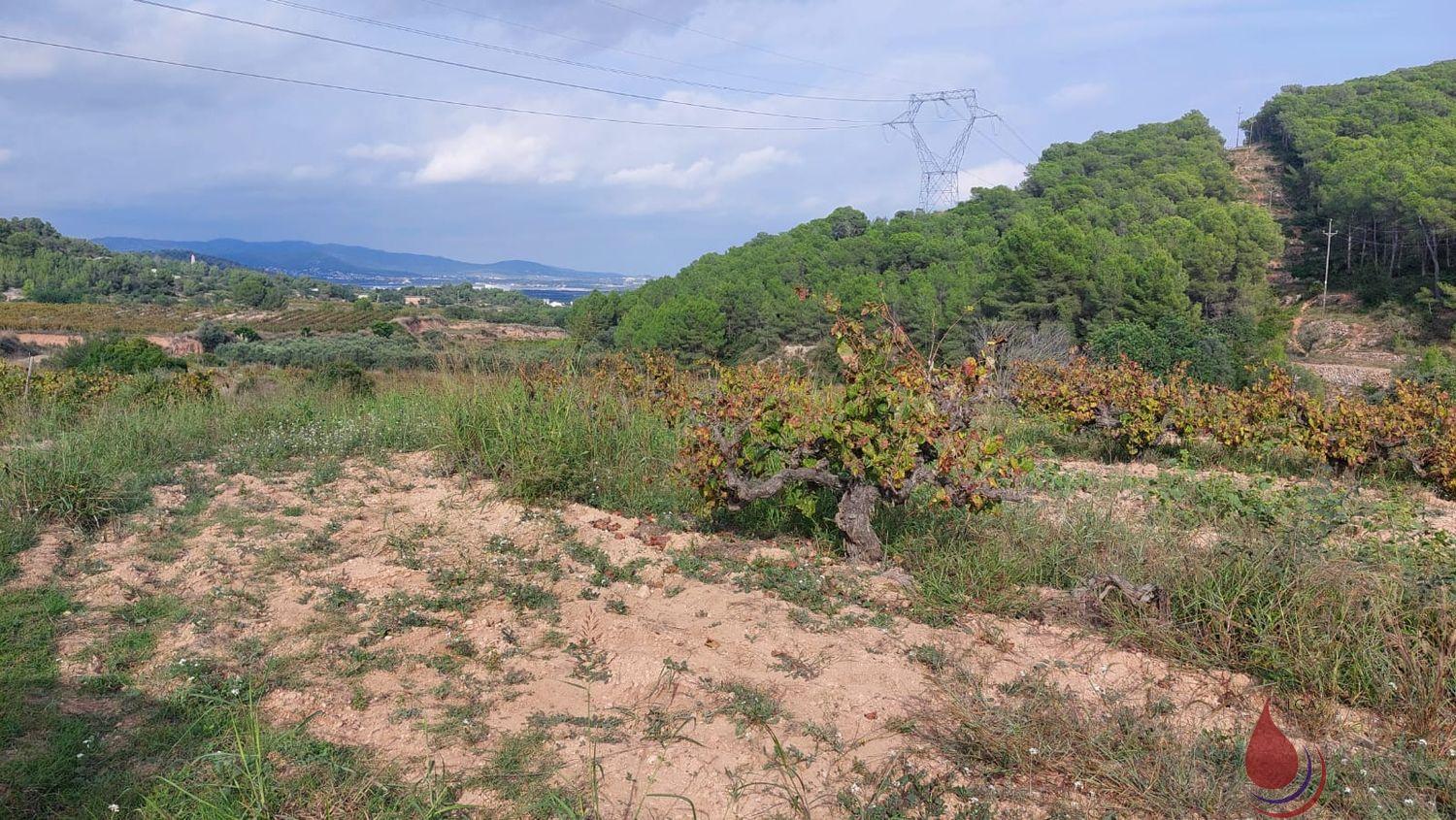 Venta de terreno en Albinyana