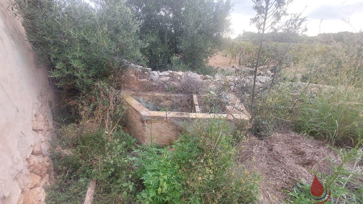 Venta de terreno en Coma - Ruga