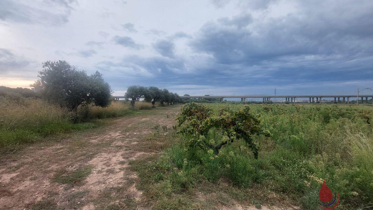 Venta de terreno en Coma - Ruga