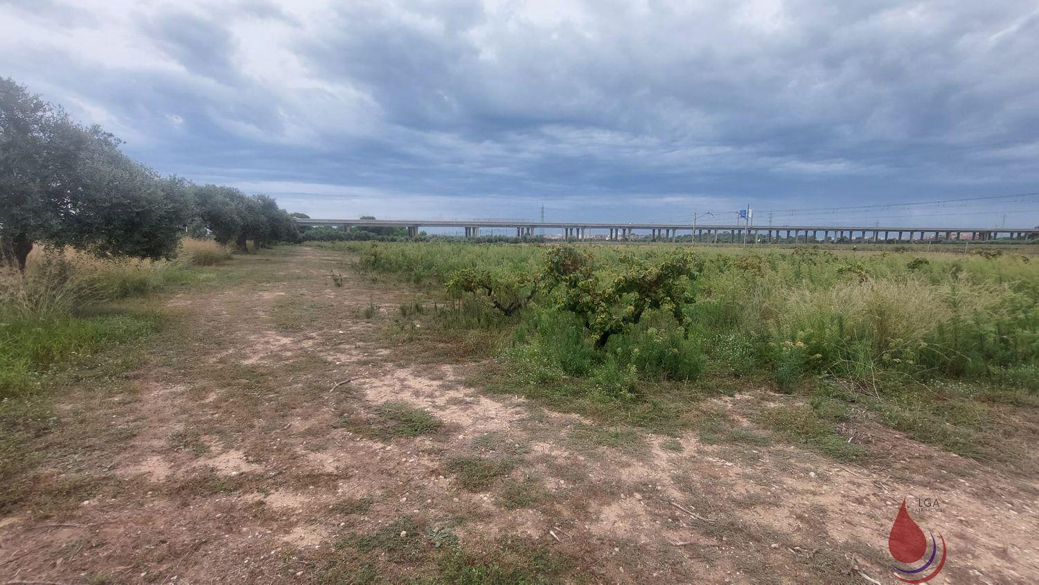 Venta de terreno en Coma - Ruga