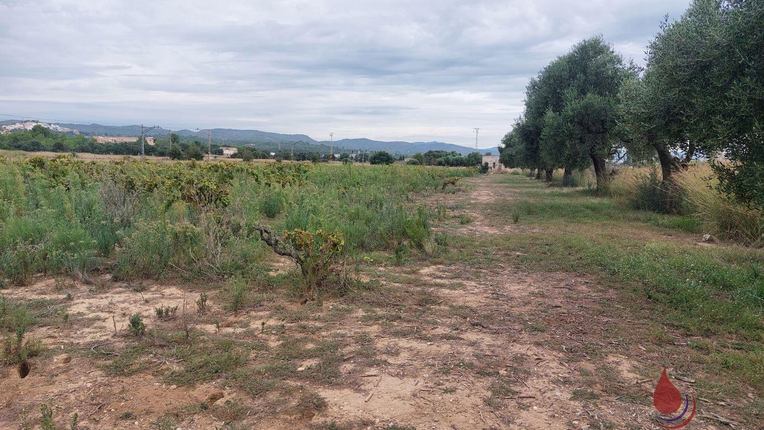 Venta de terreno en Coma - Ruga Venta de terreno en Coma - Ruga
