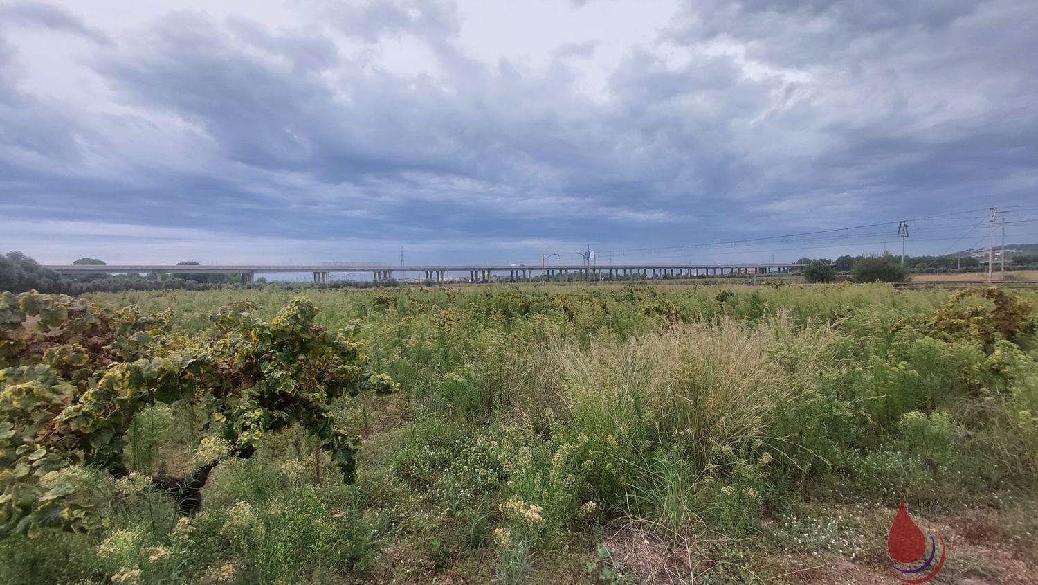 Venta de terreno en Coma - Ruga Venta de terreno en Coma - Ruga