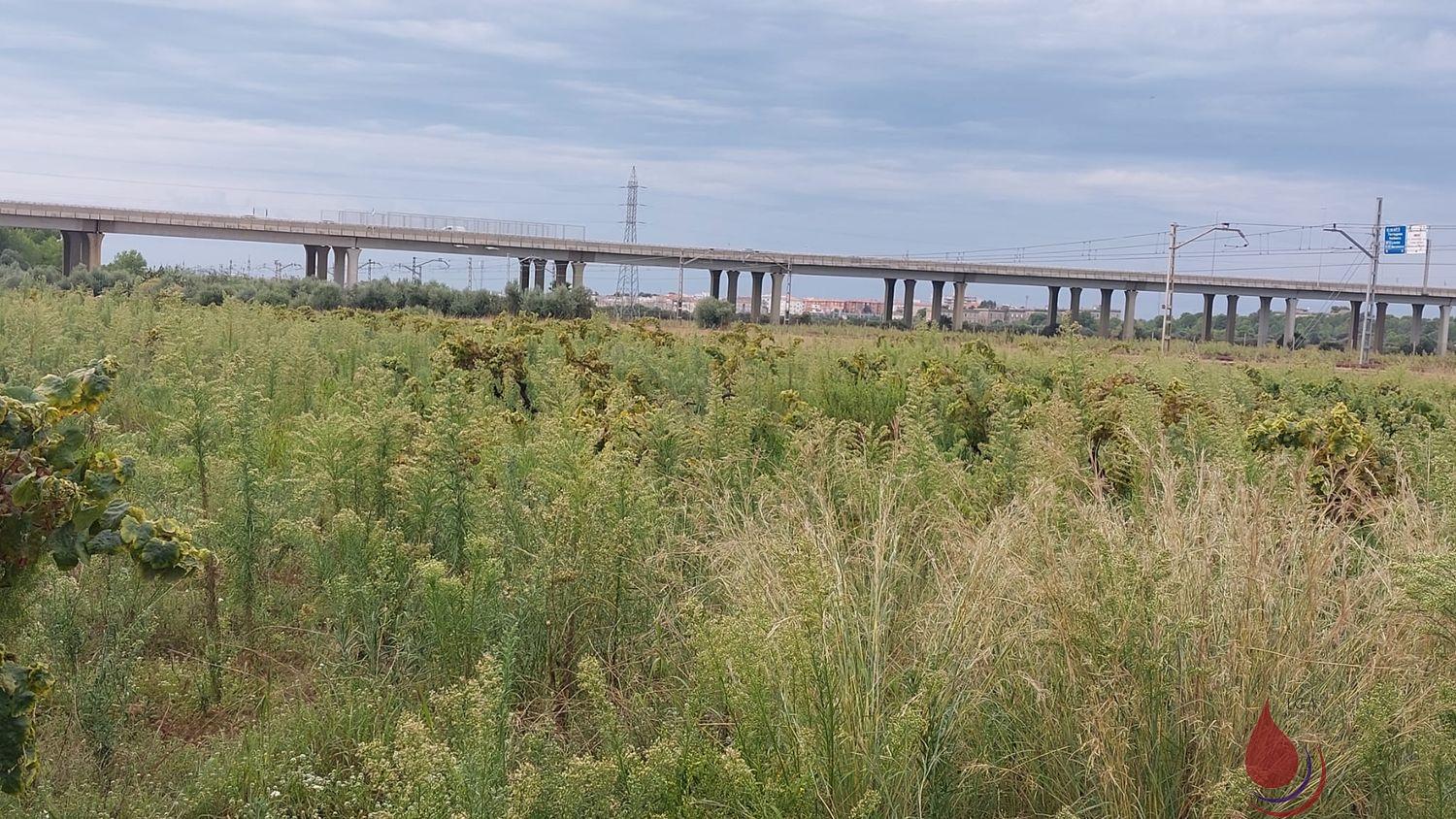 Venta de terreno en Coma - Ruga Venta de terreno en Coma - Ruga