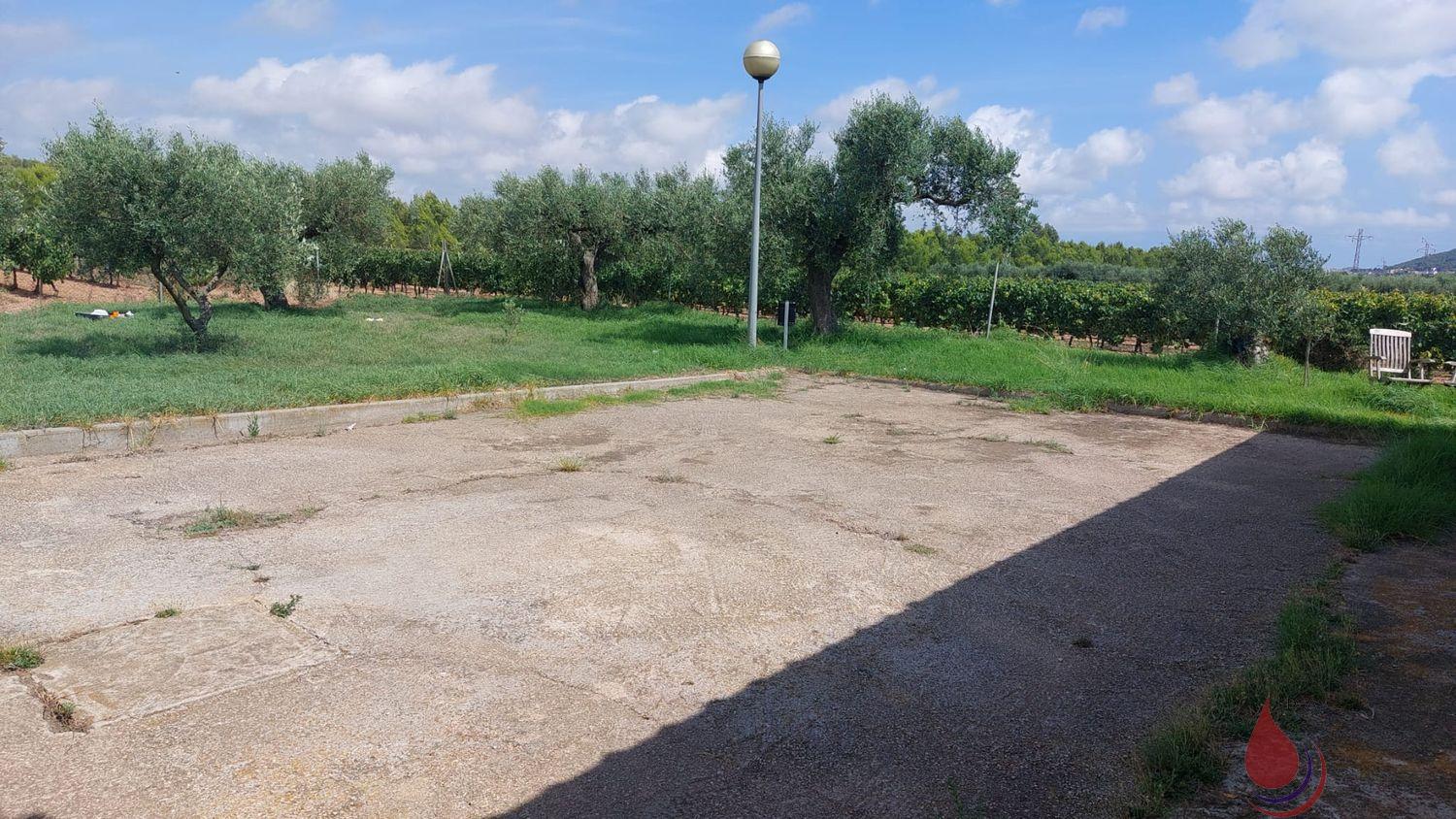 Venta de local en La Bisbal del Penedès Venta de local en La Bisbal del Penedès