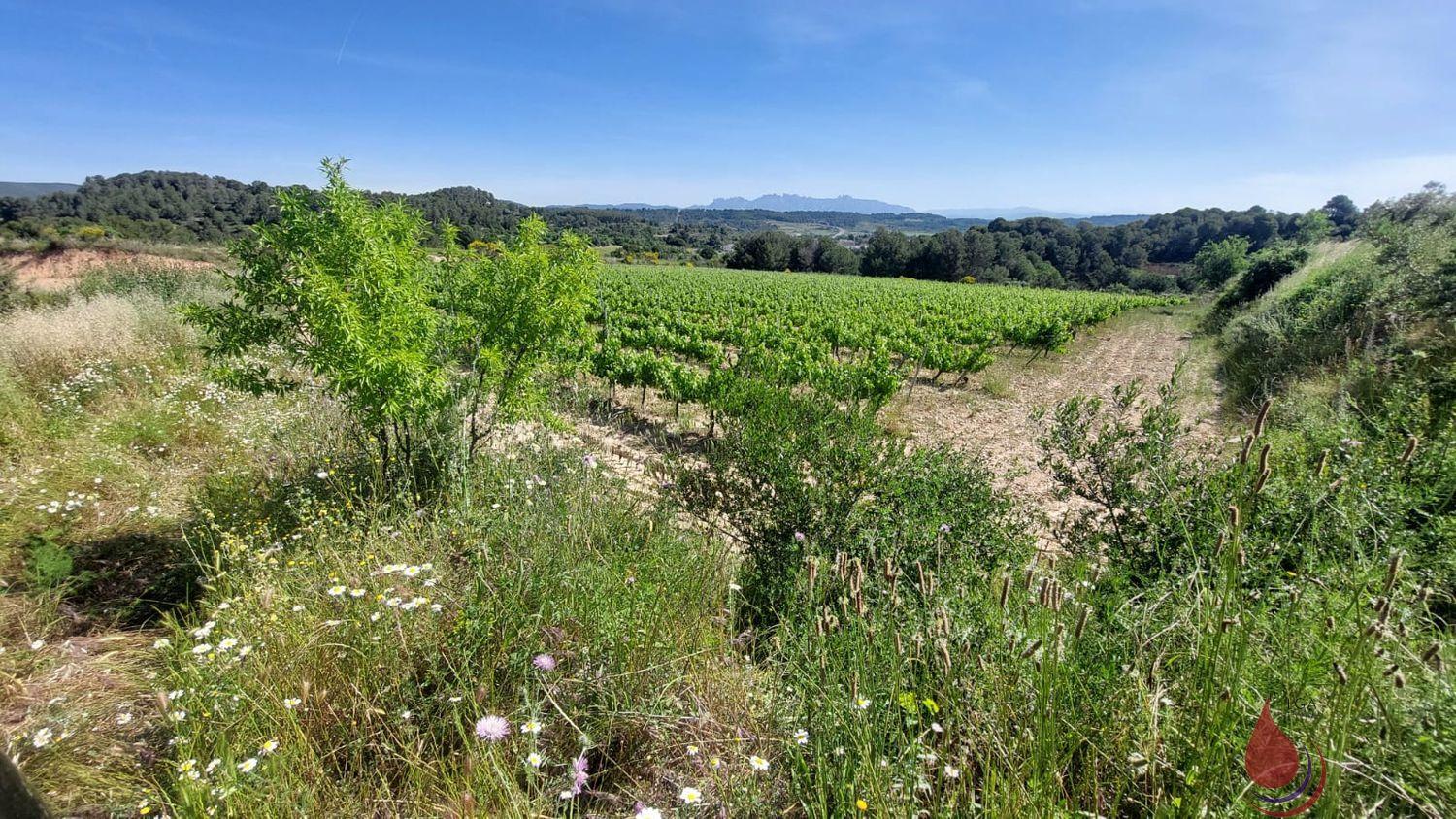 Venta de terreno en Vilabella