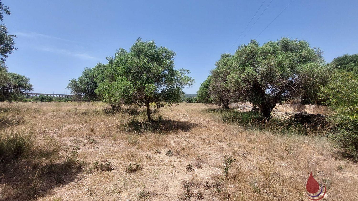 Venta de terreno en Coma - Ruga Venta de terreno en Coma - Ruga