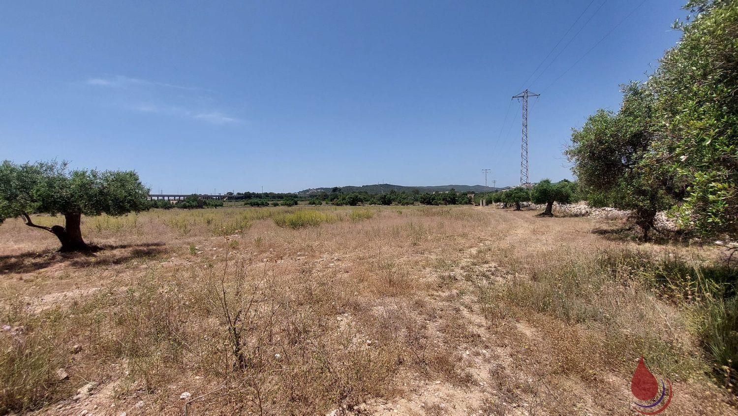 Venta de terreno en Coma - Ruga Venta de terreno en Coma - Ruga