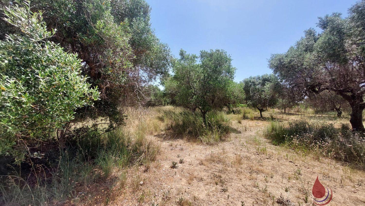 Venta de terreno en Coma - Ruga Venta de terreno en Coma - Ruga