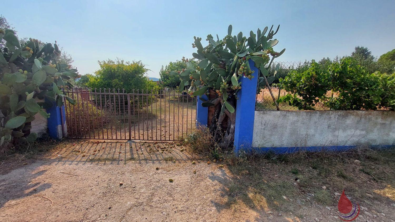 Venta de finca rústica en Santa Oliva
