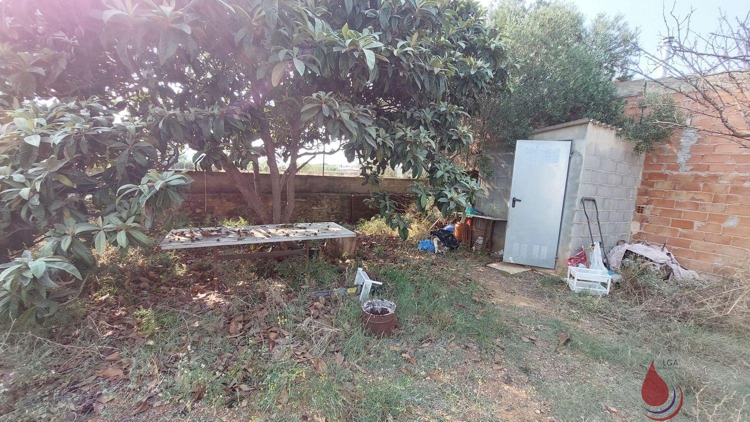 Venta de finca rústica en Santa Oliva