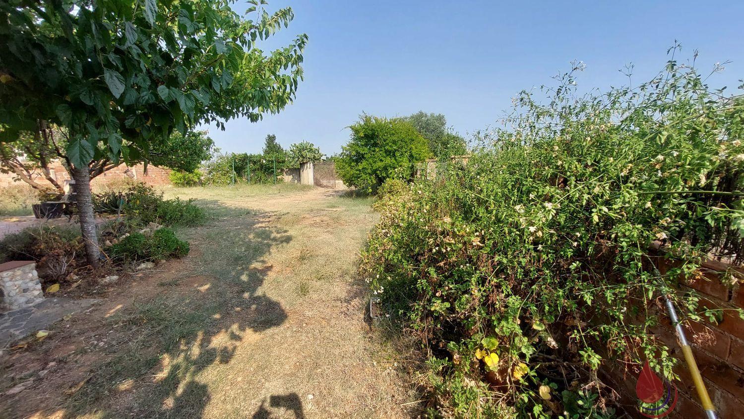 Venta de finca rústica en Santa Oliva
