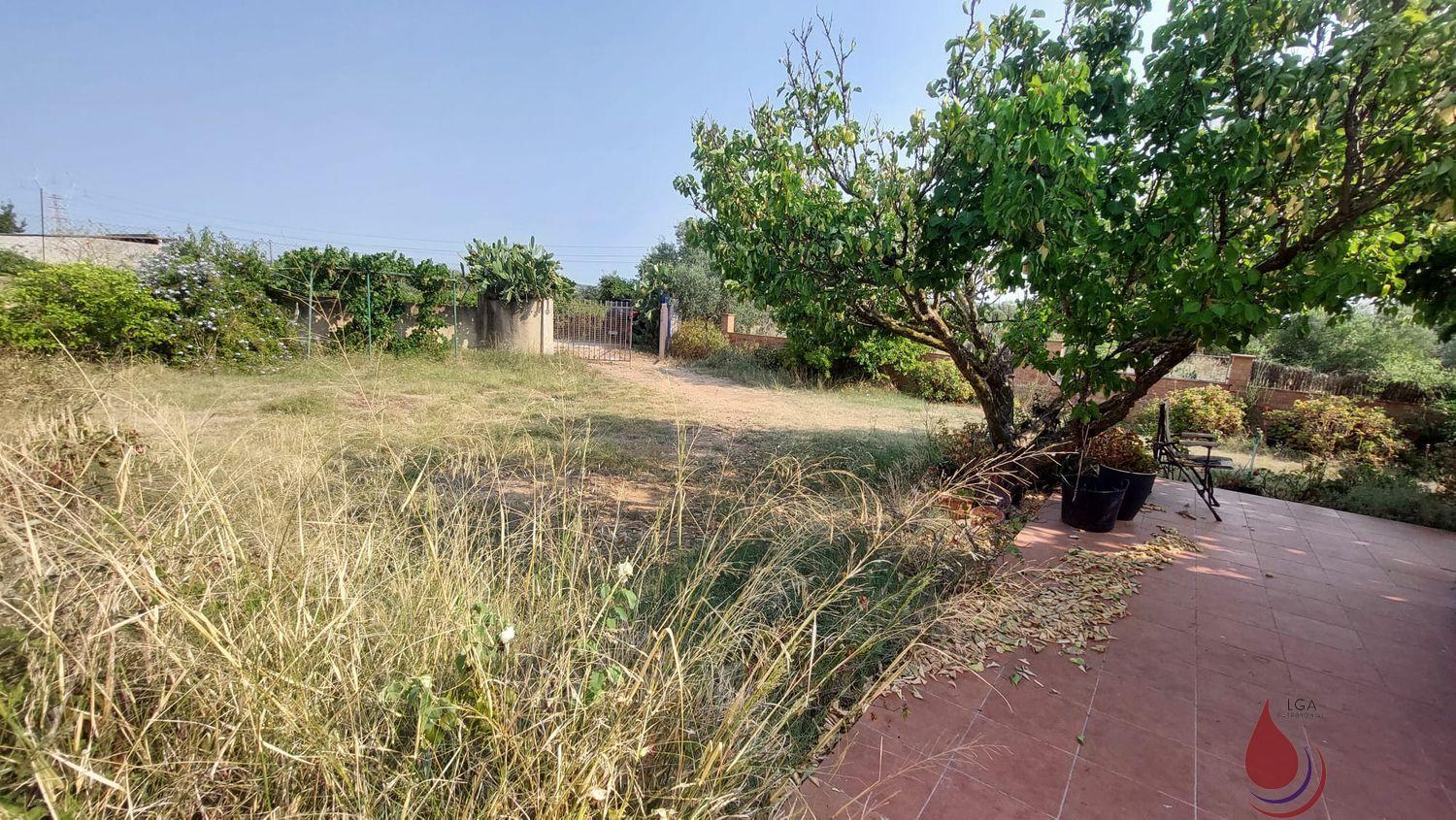 Venta de finca rústica en Santa Oliva
