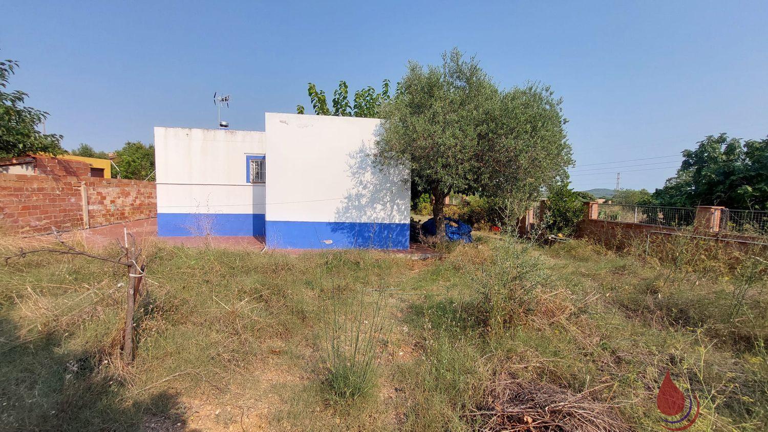 Venta de finca rústica en Santa Oliva