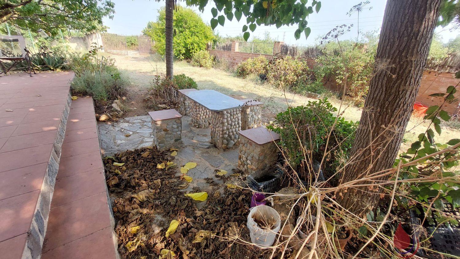 Venta de finca rústica en Santa Oliva
